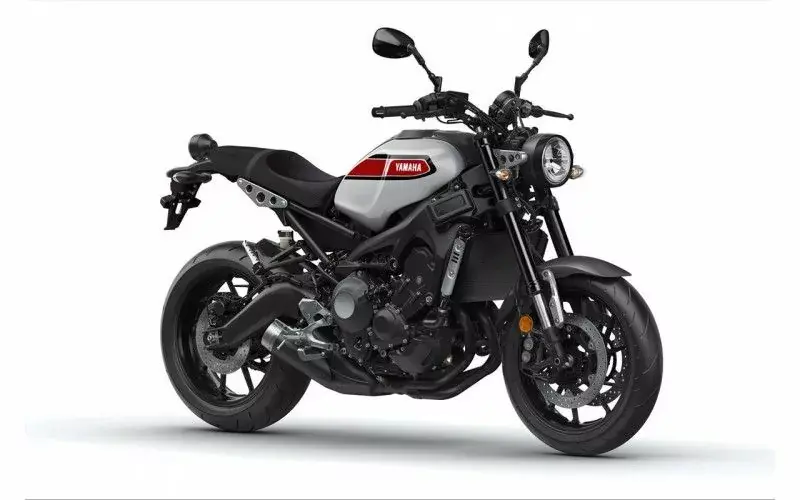 Moto custom xsr900 2019